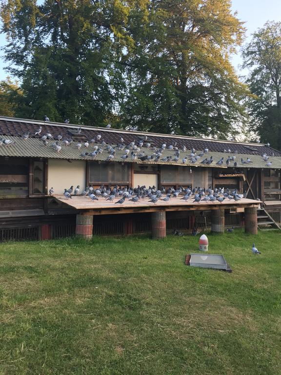 Hotel-Restaurant Johanniskreuz Trippstadt エクステリア 写真